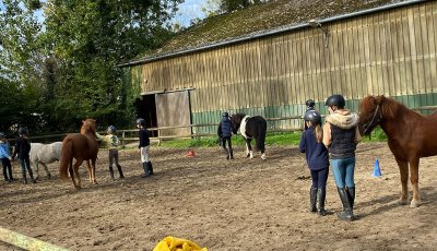 Sortie à la ferme - Section scolaire Équitation