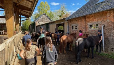 Sortie à la ferme - Section scolaire Équitation