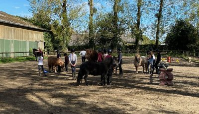 Sortie à la ferme - Section scolaire Équitation