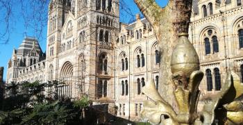 Voyage en Angleterre des 5E et 5F