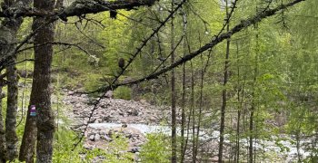 Séjour dans les Alpes - 20 mai 2025