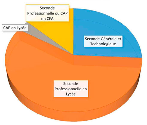 Statistiques orientation des élèves de 3e issus d’une classe à effectif allégé