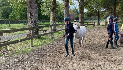 Sortie à la ferme - Section scolaire Équitation
