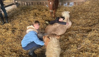 Sortie à la ferme - Section scolaire Équitation