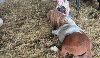 Sortie à la ferme - Section scolaire Équitation