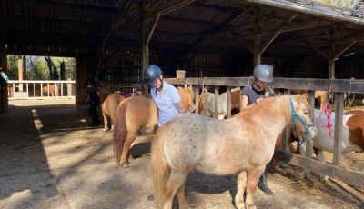 Sortie à la ferme - Section scolaire Équitation