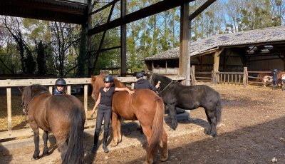Sortie à la ferme - Section scolaire Équitation