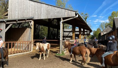 Sortie à la ferme - Section scolaire Équitation