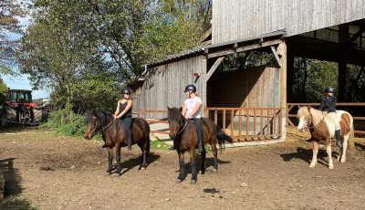 Sortie à la ferme - Section scolaire Équitation