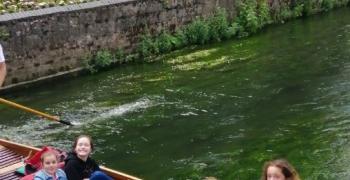 "Punting" à Canterbury sous le soleil - Voyage en Angleterre - Juin 2019