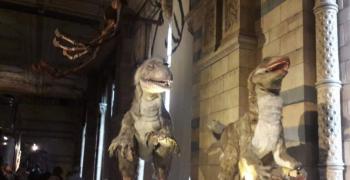 Visite du natural history museum - Voyage en Angleterre - Juin 2019