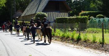 Sortie pédagogique centre équestre sept. 2019 - 5eH-classe à effectif allégé