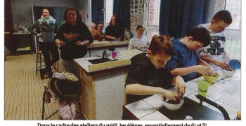 Atelier du midi : l'environnement