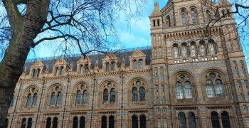 Voyage Angleterre 5eE et 5eF