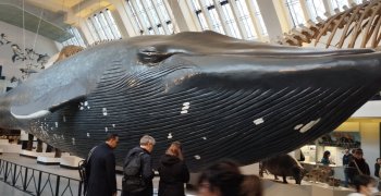 Séjour en Angleterre - Janvier 2026