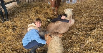 Sortie à la ferme - Section scolaire Équitation