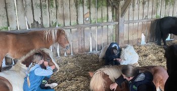Sortie à la ferme - Section scolaire Équitation