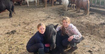 Sortie à la ferme - Section scolaire Équitation
