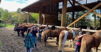 Sortie à la ferme - Section scolaire Équitation