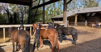 Sortie à la ferme - Section scolaire Équitation