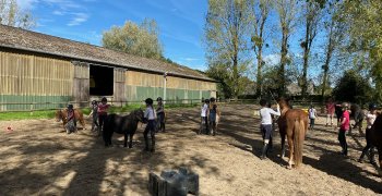 Sortie à la ferme - Section scolaire Équitation