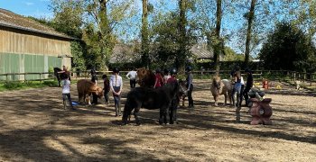 Sortie à la ferme - Section scolaire Équitation